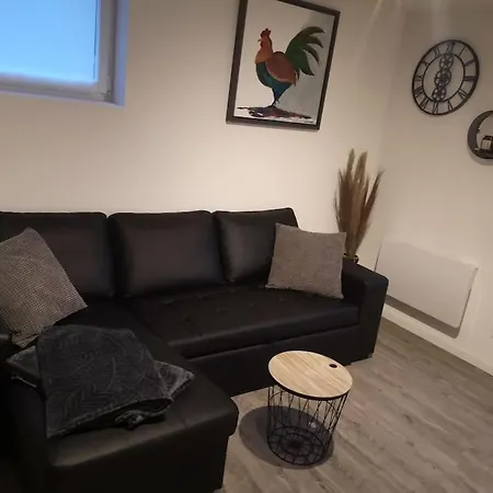 Apartment Gite Neuf Alsace