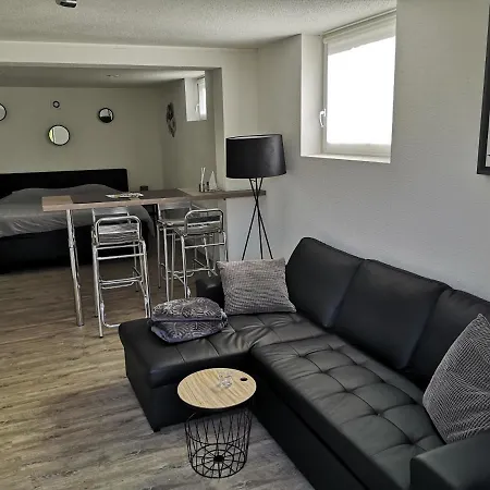 Gite Neuf Alsace Apartment *